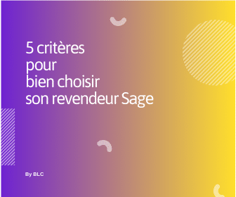 5 critères pour bien choisir son revendeur Sage